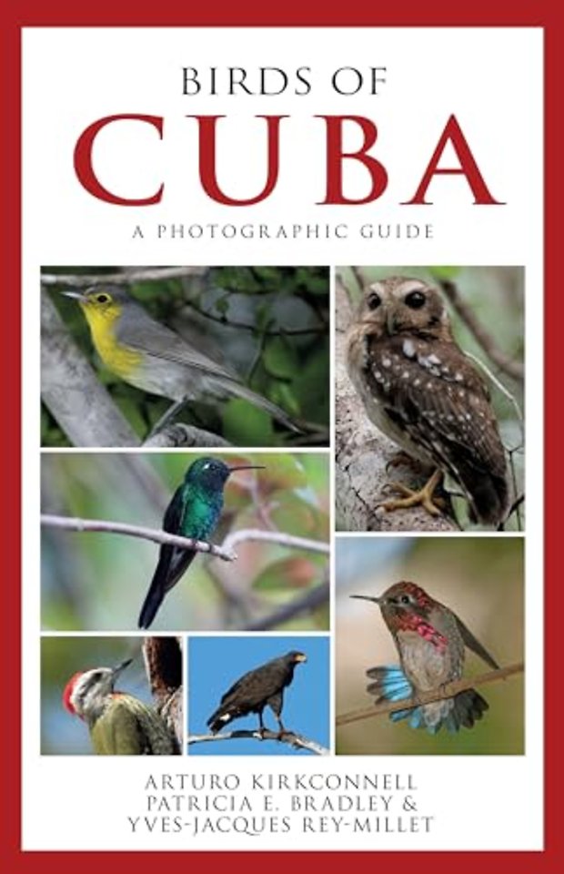 Birds of Cuba – A Photographic Guide
