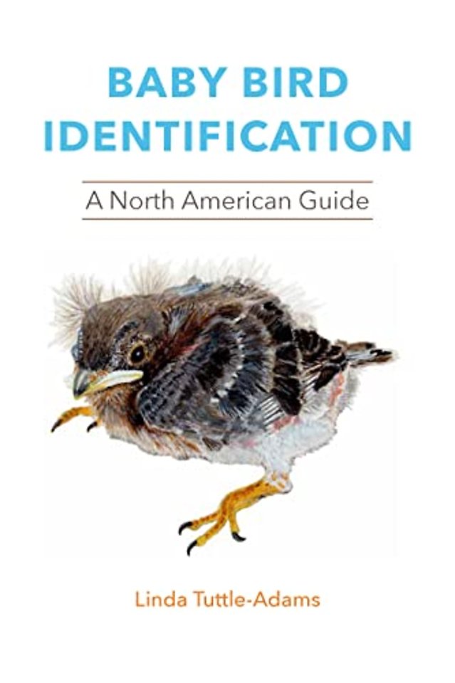 Baby Bird Identification – A North American Guide