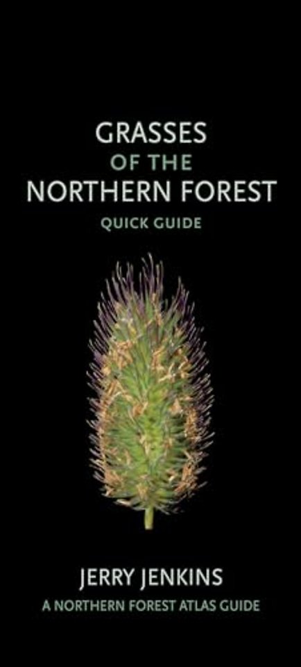 Grasses of the Northern Forest – Quick Guide
