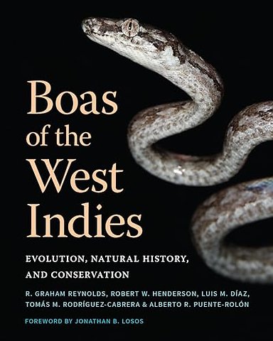 Boas of the West Indies – Evolution, Natural History, and Conservation