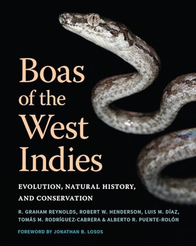 Boas of the West Indies – Evolution, Natural History, and Conservation