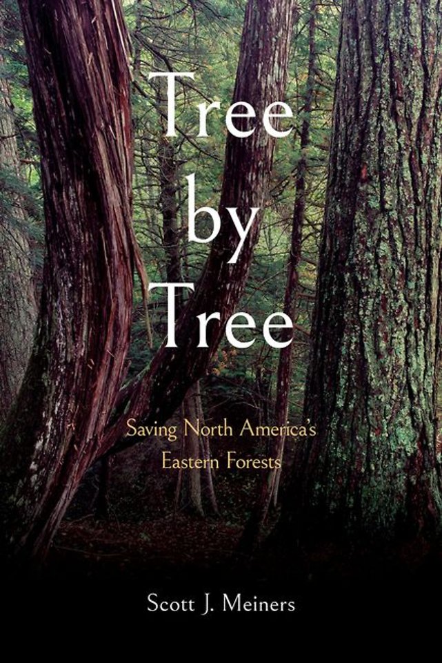 Tree by Tree – Saving North America`s Eastern Forests