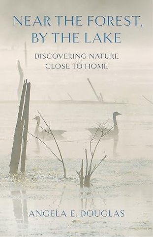 Near the Forest, by the Lake – Discovering Nature Close to Home
