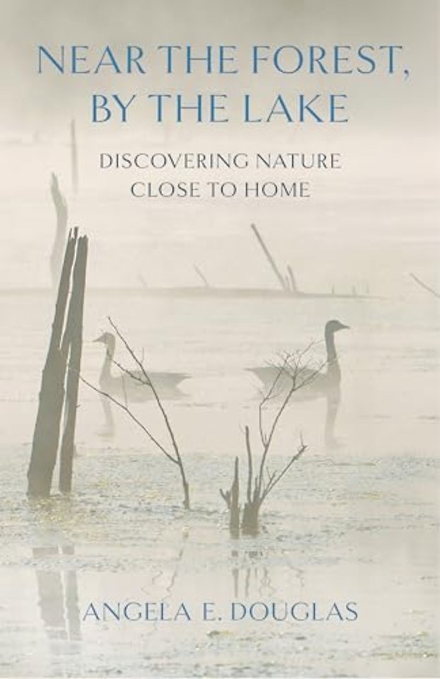Near the Forest, by the Lake – Discovering Nature Close to Home