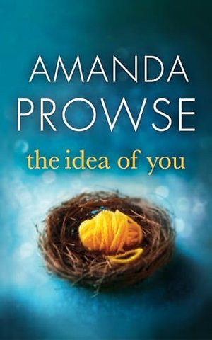 The Idea of You
