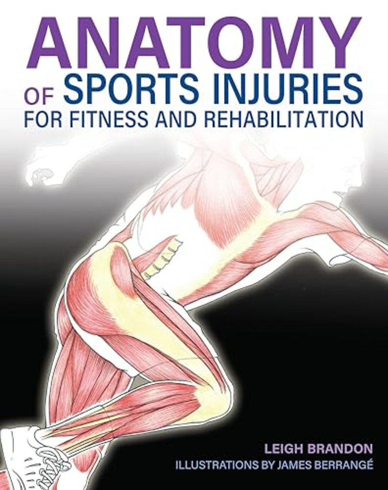 Anatomy of Sports Injuries