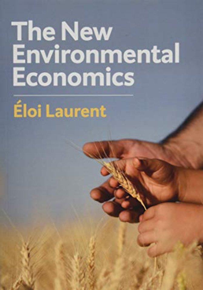 The New Environmental Economics