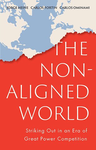 The Non–Aligned World