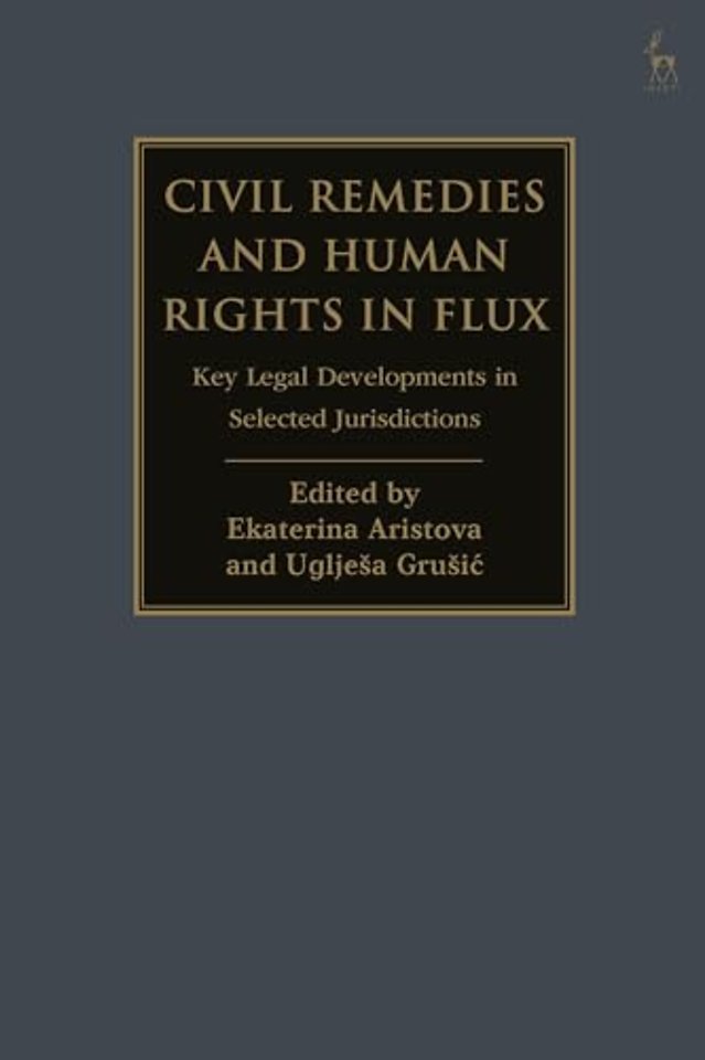 Civil Remedies and Human Rights in Flux