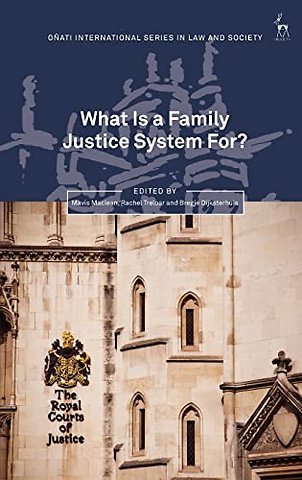 What Is a Family Justice System For?
