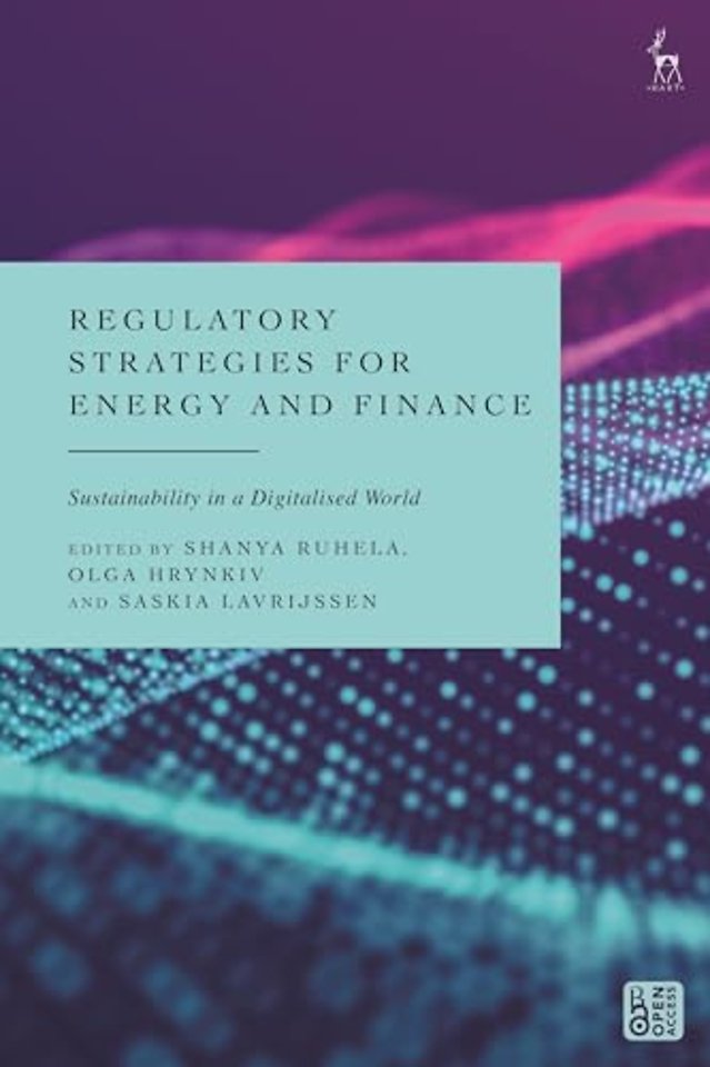 Regulatory Strategies for Energy and Finance