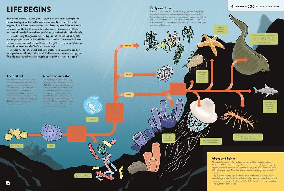 The History of Everything in 32 Pages