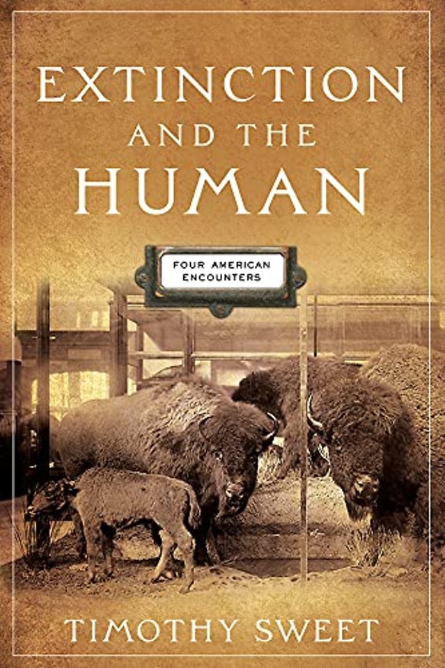 Extinction and the Human – Four American Encounters