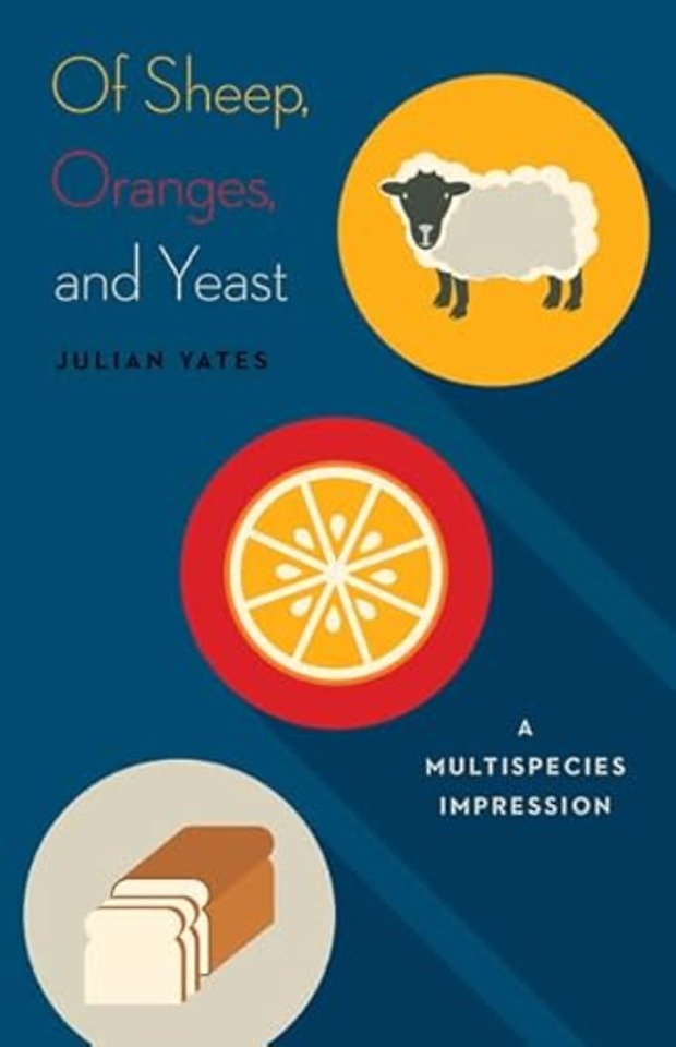 Of Sheep, Oranges, and Yeast – A Multispecies Impression