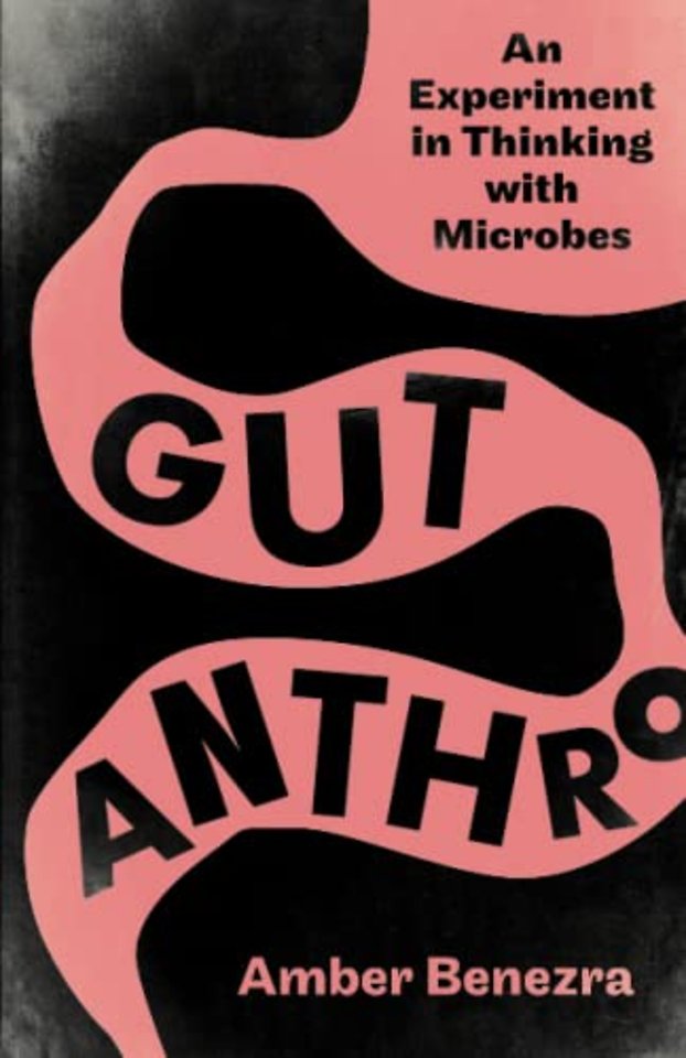 Gut Anthro – An Experiment in Thinking with Microbes