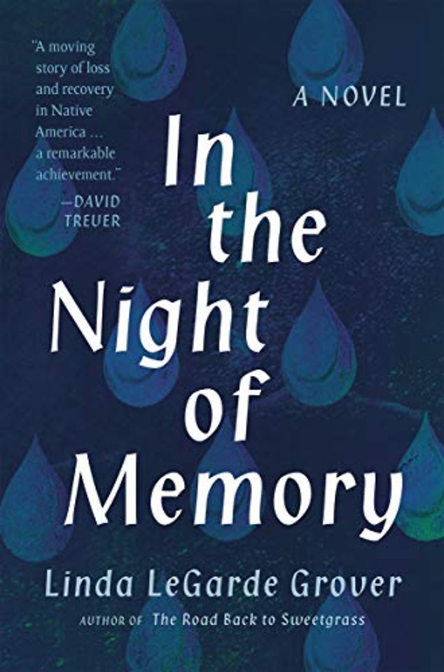 In the Night of Memory – A Novel