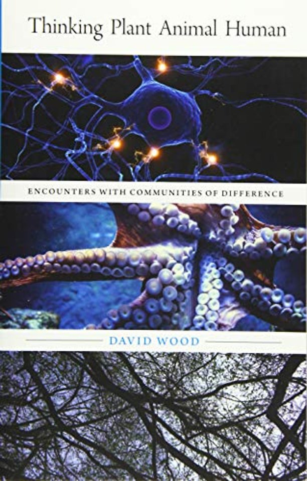 Thinking Plant Animal Human – Encounters with Communities of Difference