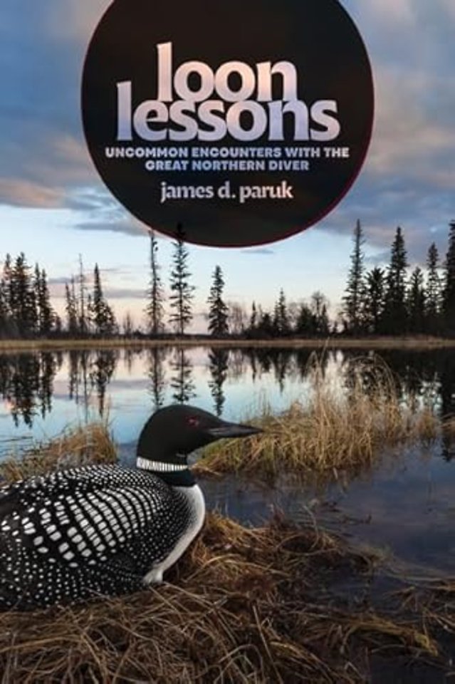 Loon Lessons – Uncommon Encounters with the Great Northern Diver