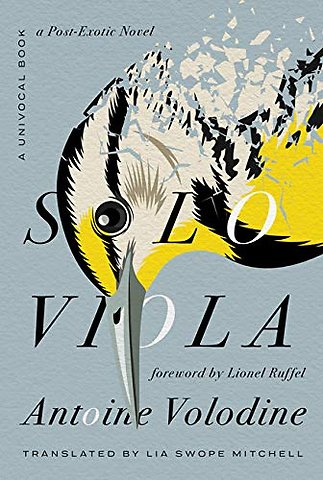 Solo Viola – A Post–Exotic Novel