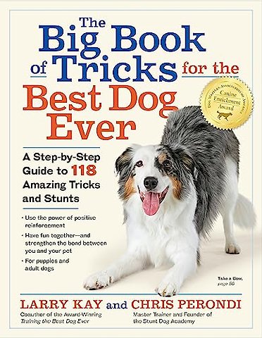 The Big Book of Tricks for the Best Dog Ever