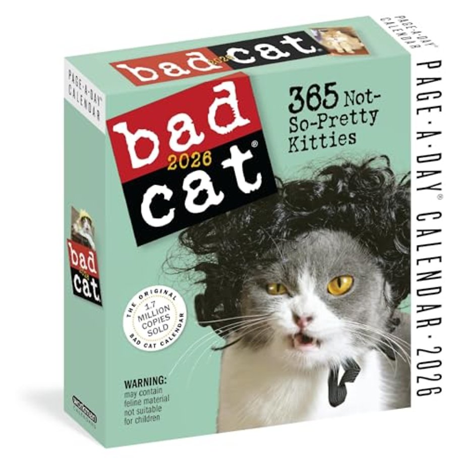 Bad Cat Page-A-Day® Calendar 2026