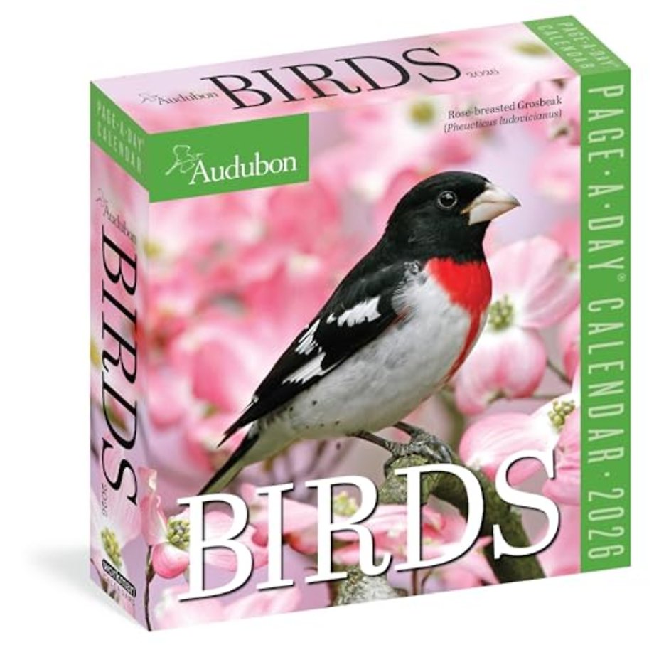Audubon Birds Page-A-Day® Calendar 2026