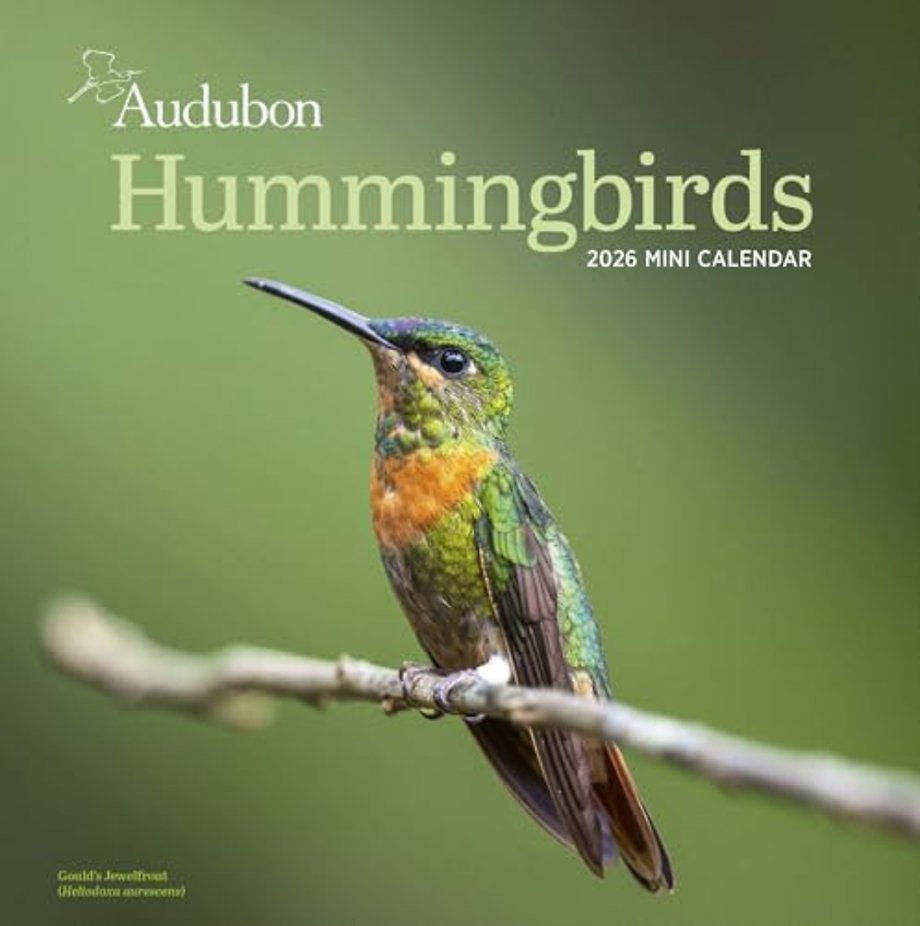 Audubon Hummingbirds Mini Wall Calendar 2026