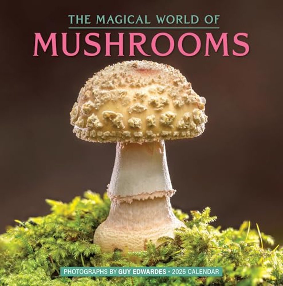 The Magical World of Mushrooms Wall Calendar 2026
