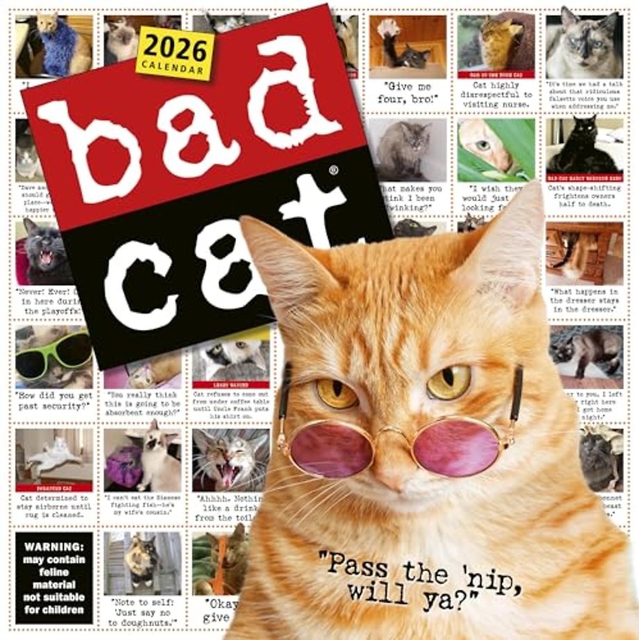 Bad Cat Wall Calendar 2026