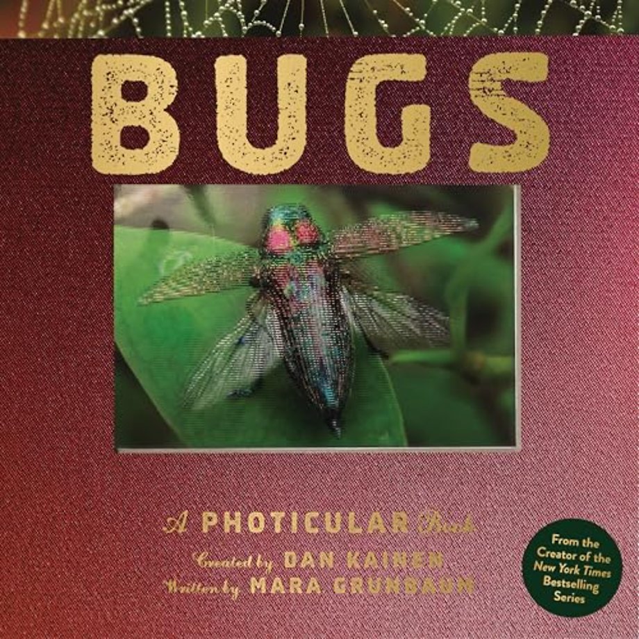 Bugs