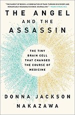 The Angel and the Assassin
