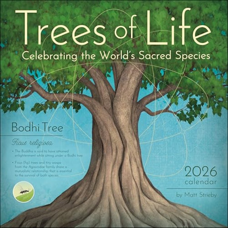Trees of Life 2026 Wall Calendar