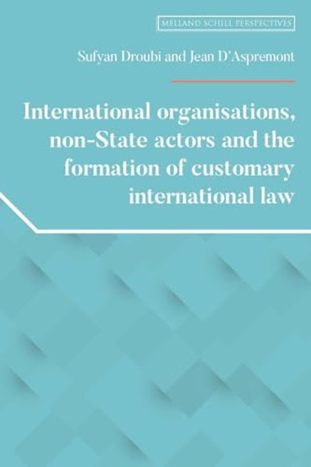 International Organisations, Non-State Actors, and the Formation of Customary International Law