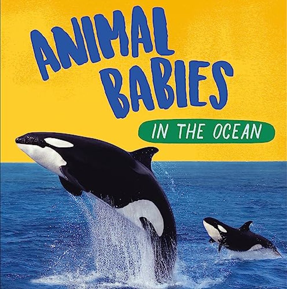 Animal Babies: In the Ocean