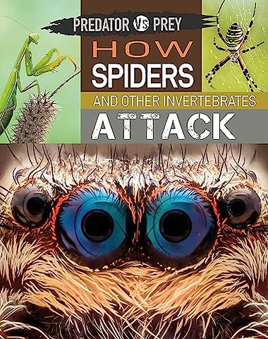 Predator vs Prey: How Spiders and other Invertebrates Attack