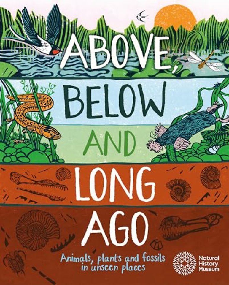 Above, Below and Long Ago