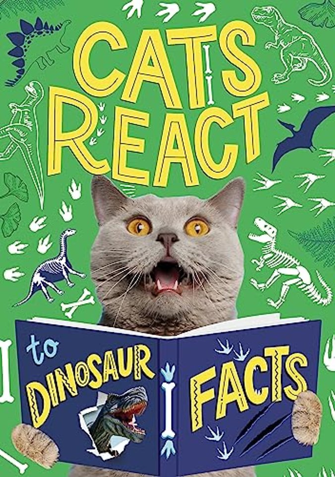 Cats React to Dinosaur Facts
