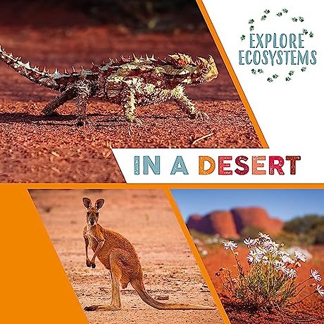 Explore Ecosystems: In a Desert