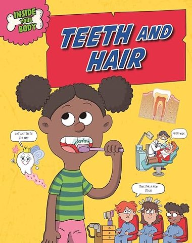 Inside Your Body: Teeth and Hair