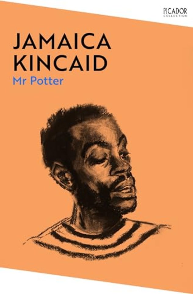 Mr Potter