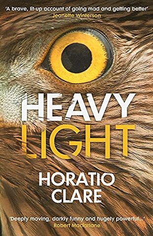 Heavy Light
