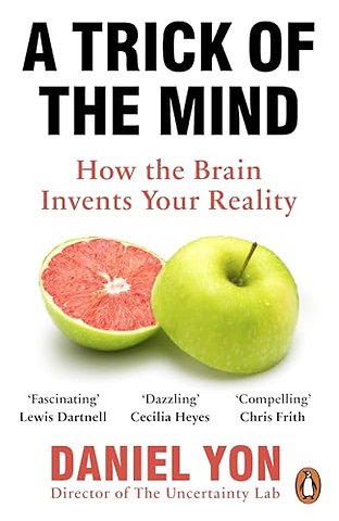 A Trick Of The Mind
