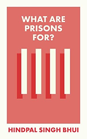 What Are Prisons For?