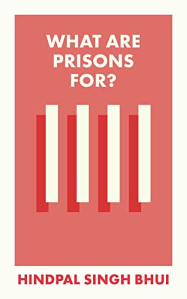 What Are Prisons For?