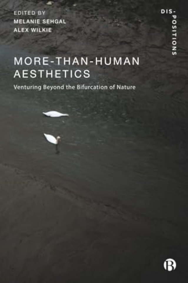 More-Than-Human Aesthetics