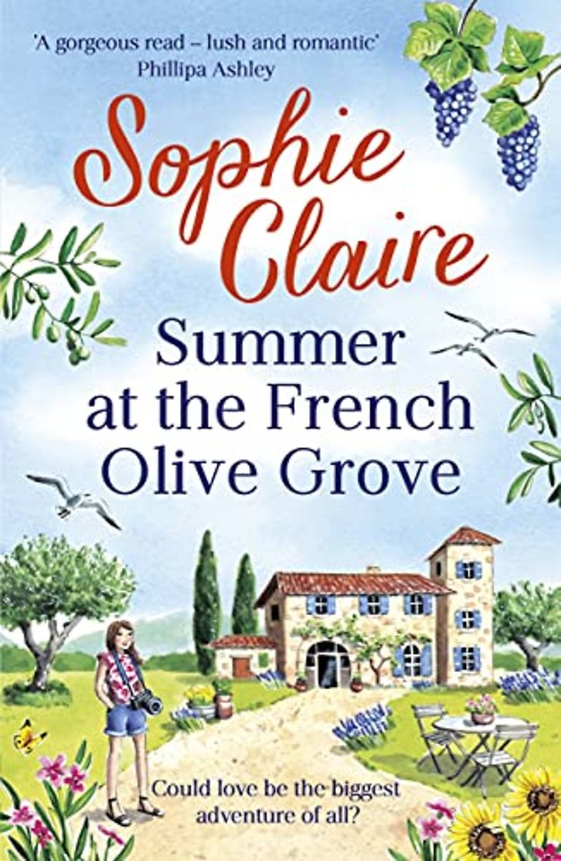 Summer at the French Olive Grove