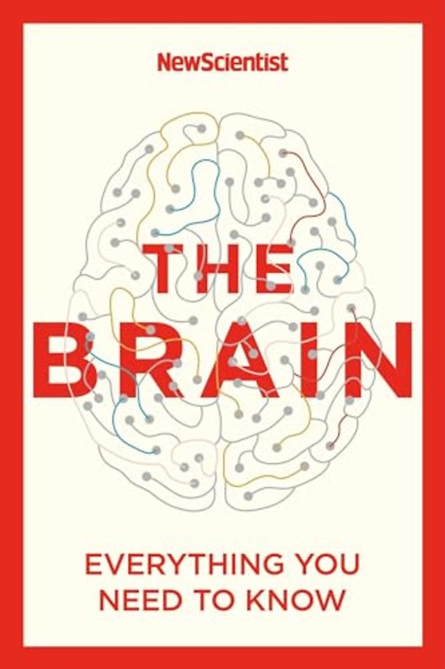 The Brain