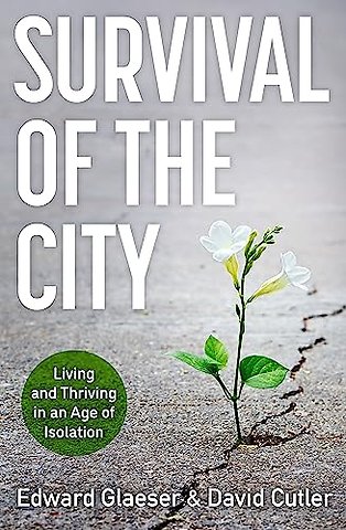 Survival of the City