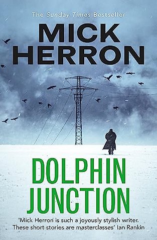 Dolphin Junction