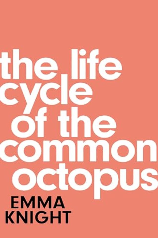 The Life Cycle of the Common Octopus